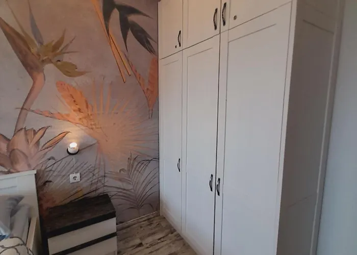 Belvedere Club H 305 *