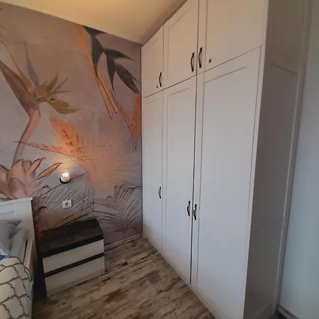 Belvedere Club H 305 *