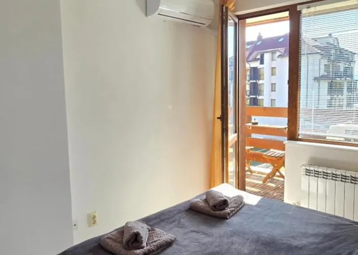 Belvedere Club H 305